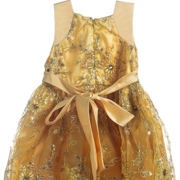 NEW Little Girls Fluffy Ruffled Tulle Gold Party Dress with intricate design - Picture 3 of 4